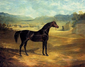 El semental bayo Jack Spigot Herring Snr John Frederick caballo Pinturas al óleo